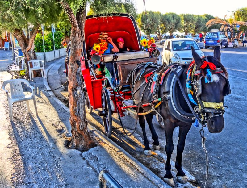 Aegina horse and carriage