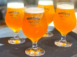 Mykonos Beer and Wine Tasting