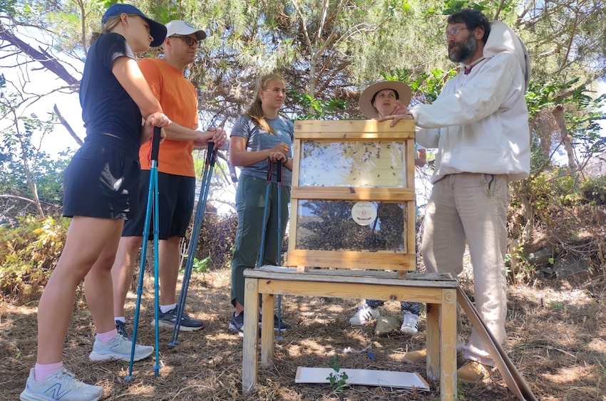 Naxos Bees Hike