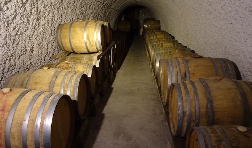 Artspace wine barrels