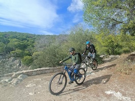 Bike, Cycle tours